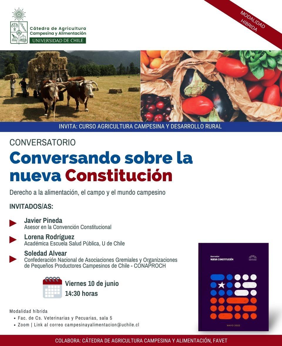 Universidad de Chile invita a “Conversando sobre la Nueva Constitución”