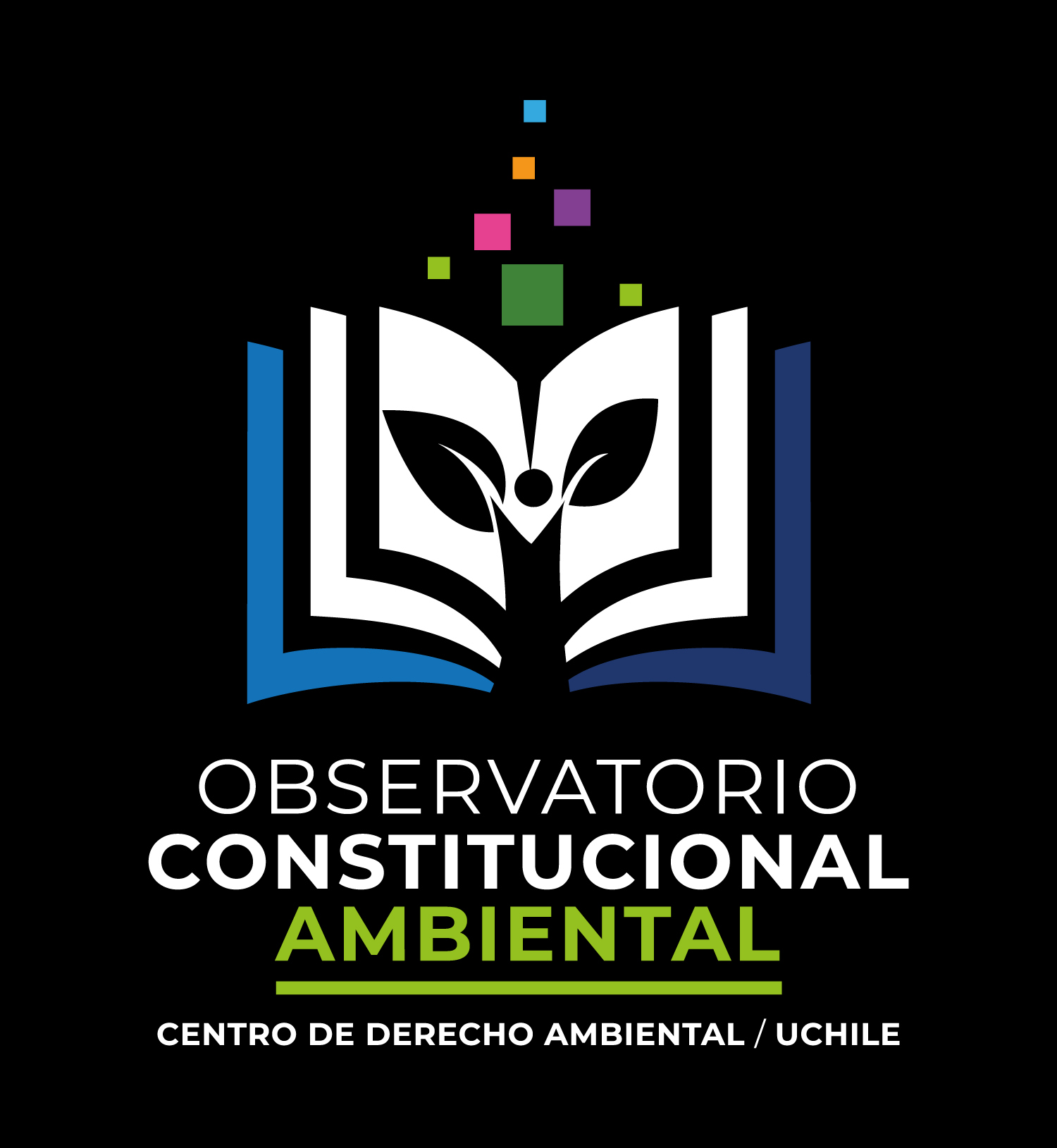 Universidad de Chile presenta el Observatorio Constitucional Ambiental